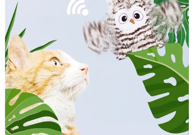 Gato olhando a Corujinha batendo as asas